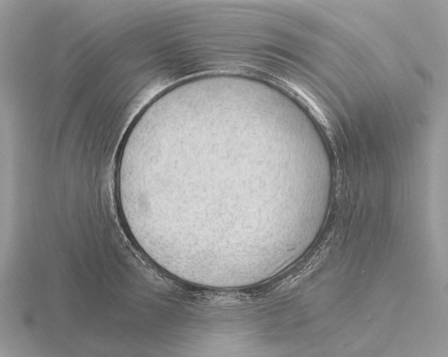 X0000115680899200912101131