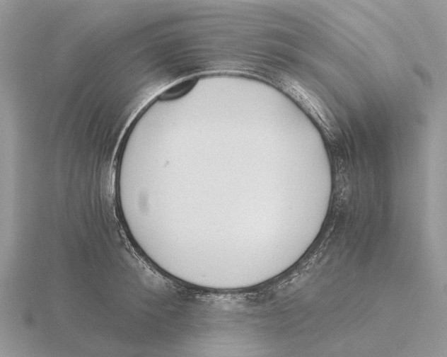 X0000115680900200912101131