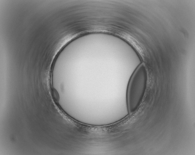 X0000115680901200912101130