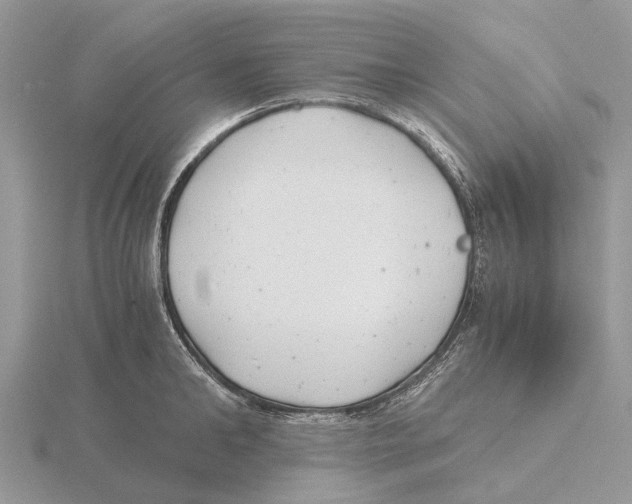 X0000115680902200912101130