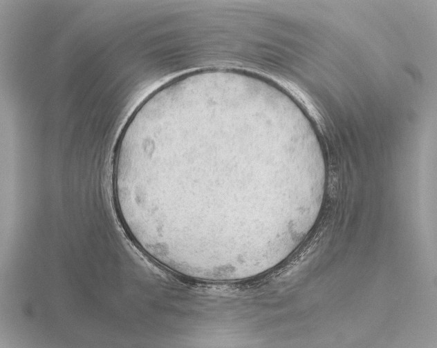 X0000115680903200912101130