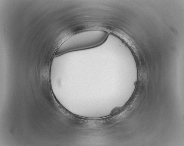 X0000115680905200912101130