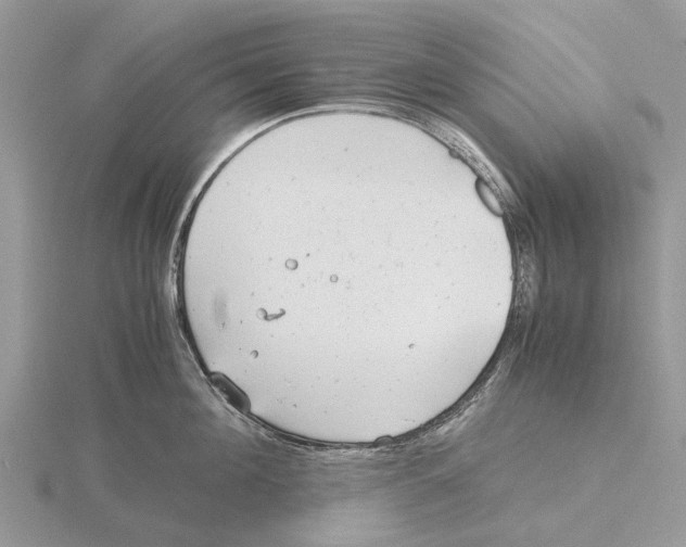 X0000115680908200912101130