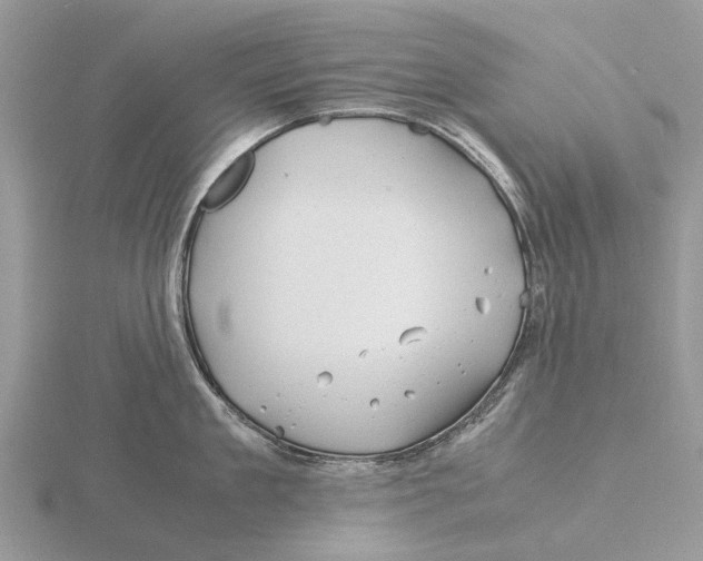 X0000115680909200912101130