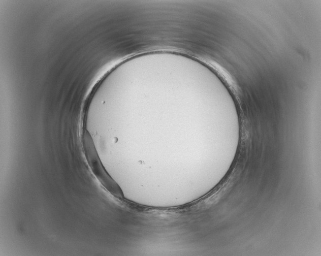 X0000115680910200912101130