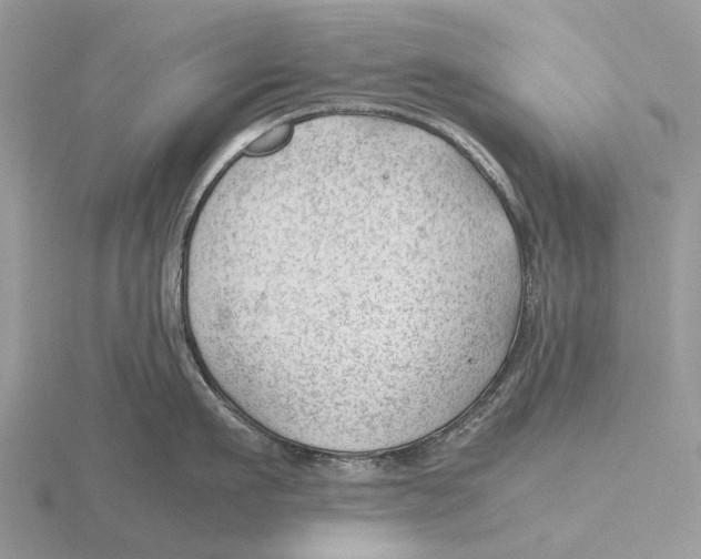 X0000115680911200912101130