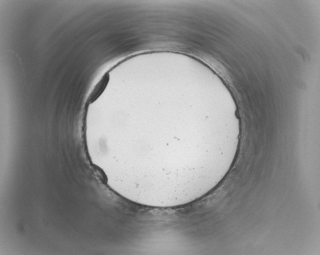 X0000115680912200912101130