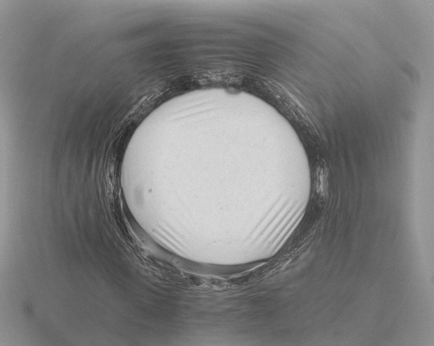 X0000115680915200912101130