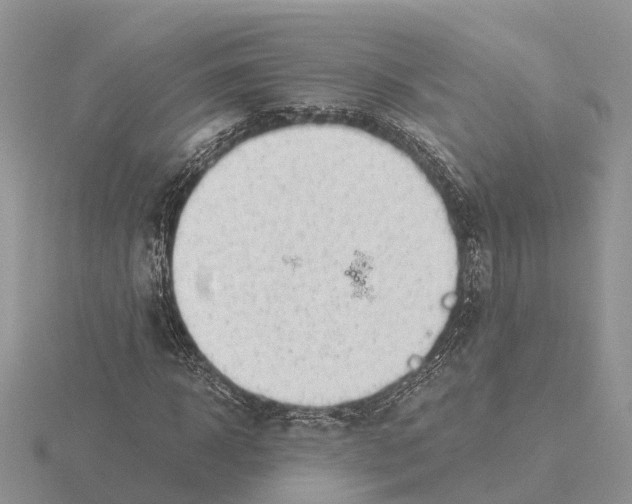 X0000115680918200912101130