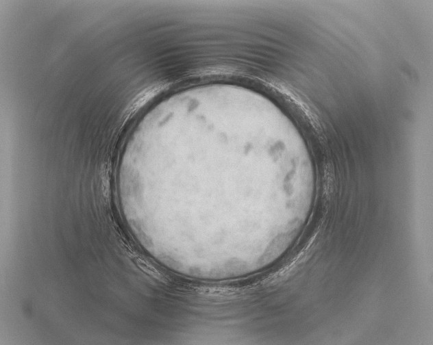 X0000115680921200912101130