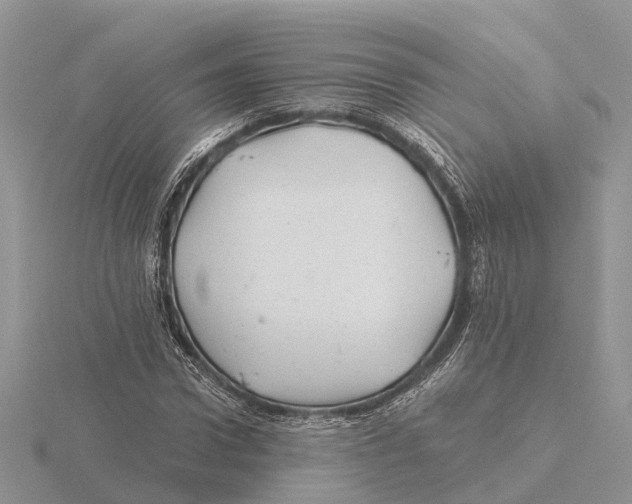 X0000115680922200912101130