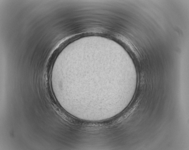 X0000115680923200912101130