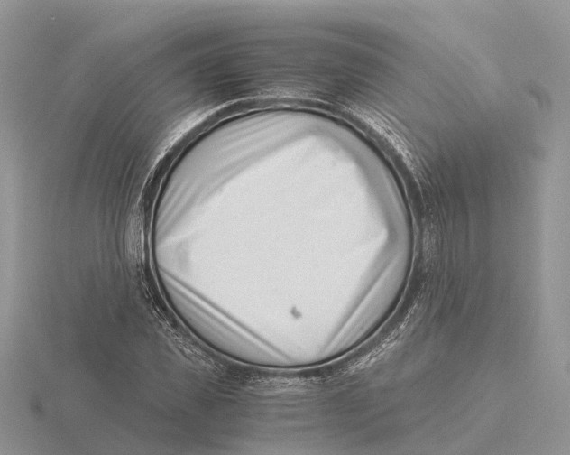 X0000115680925200912101130