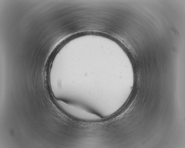 X0000115680926200912101130