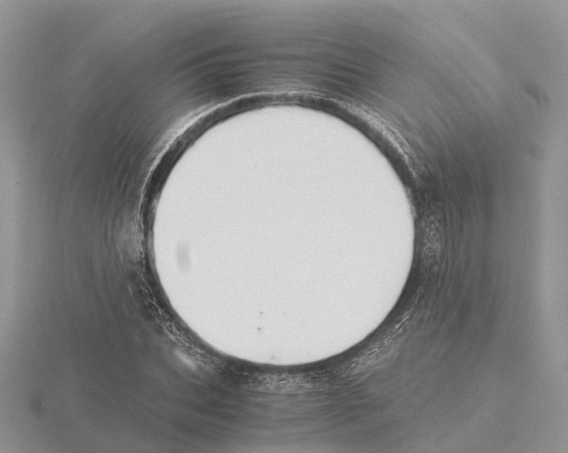 X0000115680927200912101130