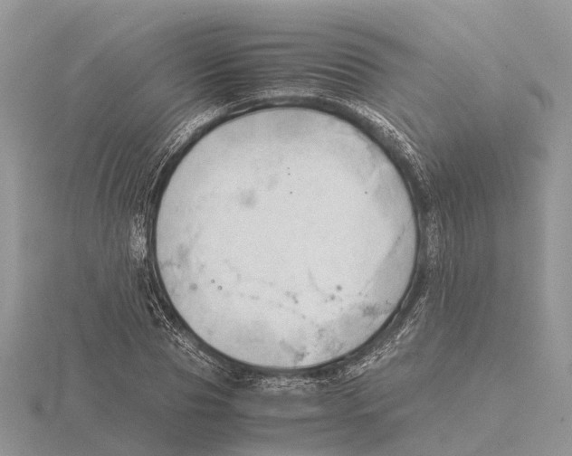 X0000115680929200912101130