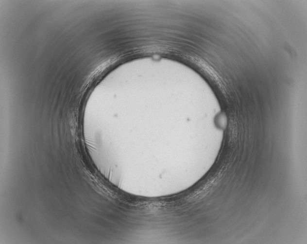 X0000115680930200912101130