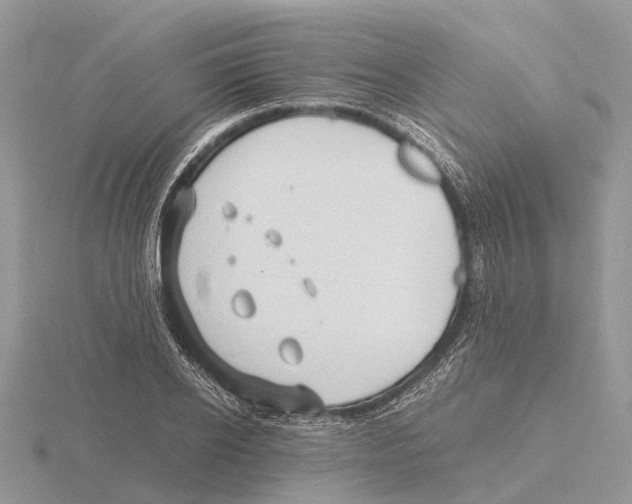 X0000115680934200912101130