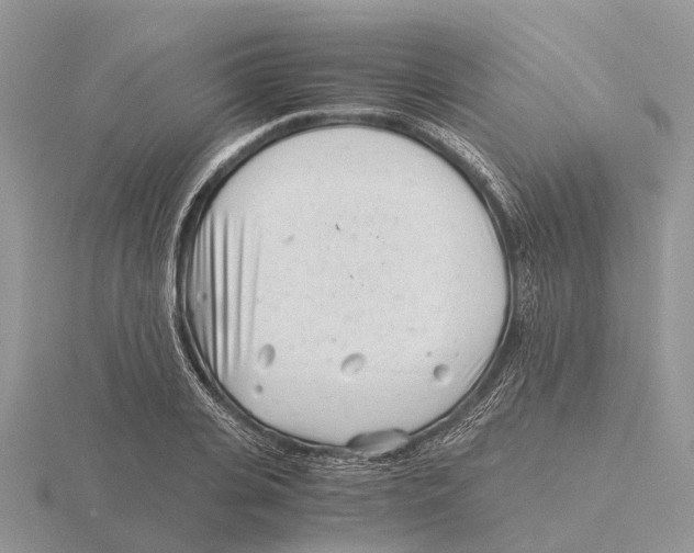 X0000115680935200912101130