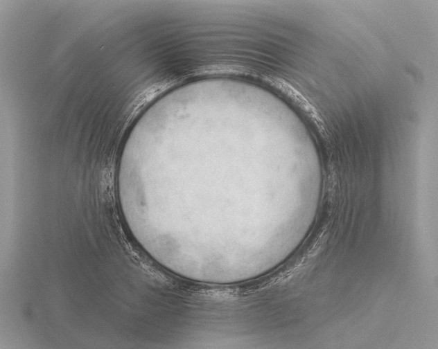 X0000115680937200912101130