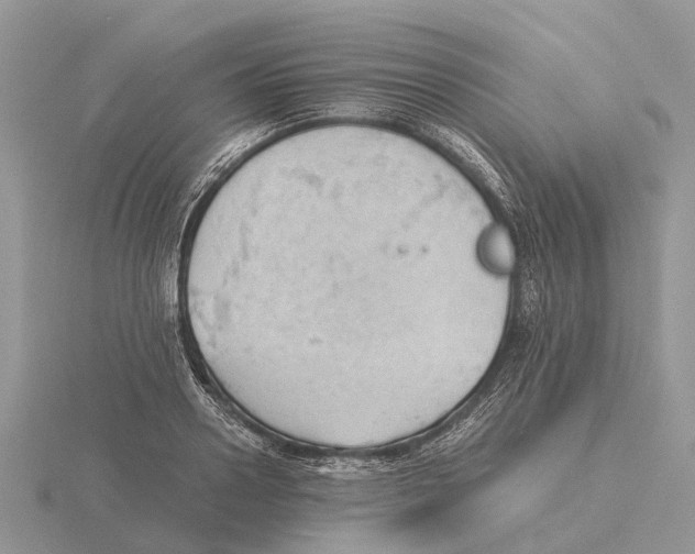 X0000115680938200912101130