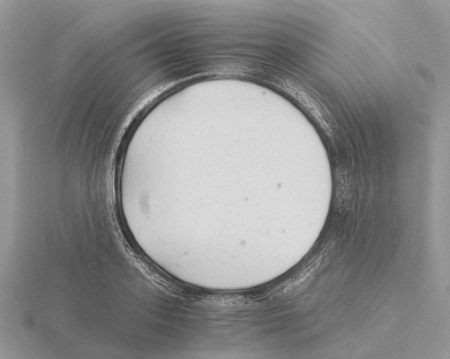 X0000115680939200912101130