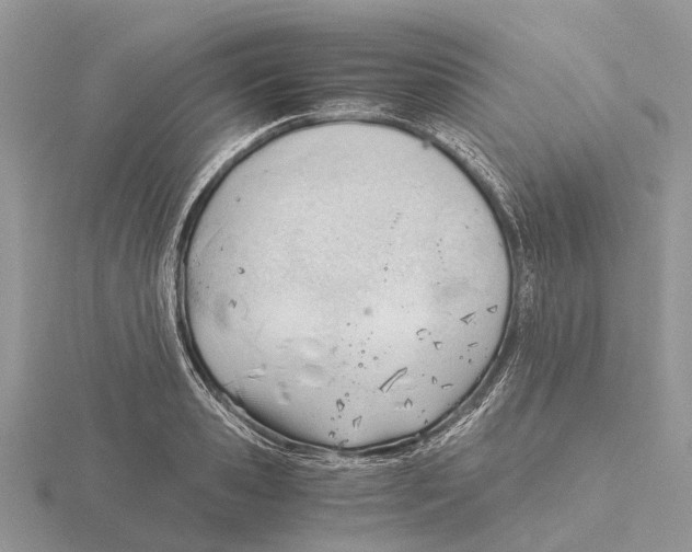 X0000115680941200912101130