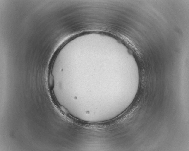 X0000115680942200912101130