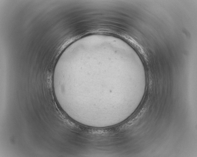 X0000115680945200912101130