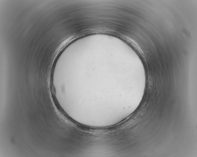 X0000115680946200912101130