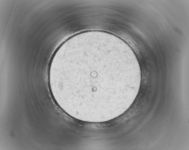 X0000115680950200912101130