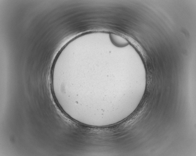 X0000115680951200912101130