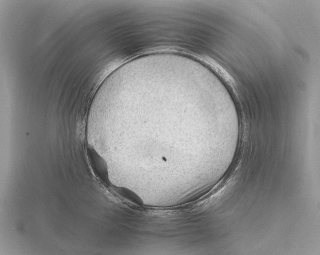 X0000115680953200912101130