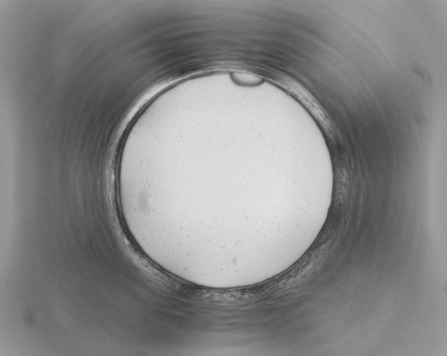 X0000115680955200912101130