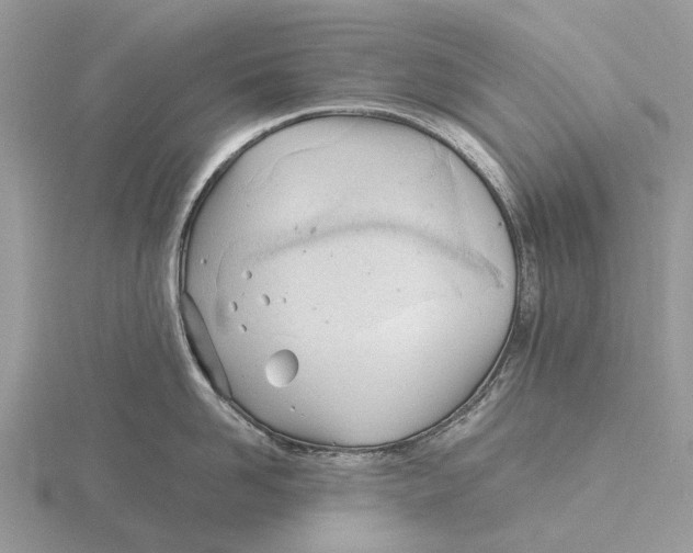 X0000115680958200912101130