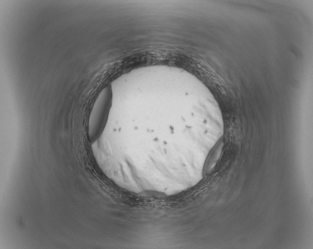 X0000115680961200912101130