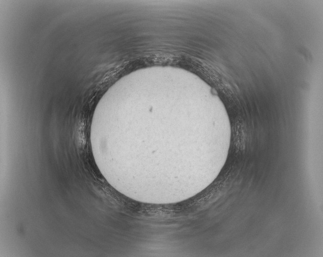 X0000115680962200912101130