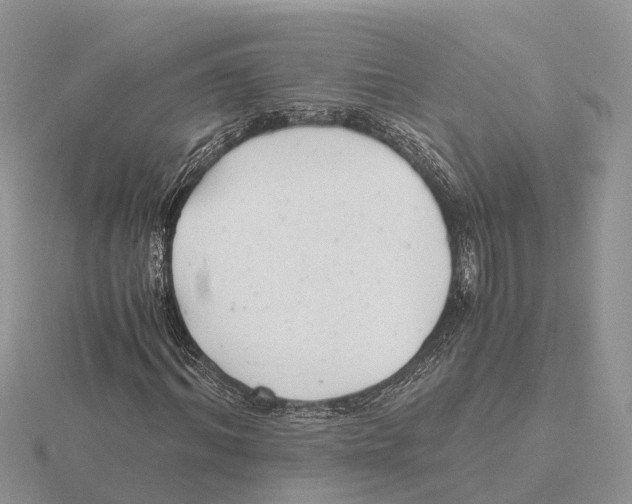 X0000115680964200912101130