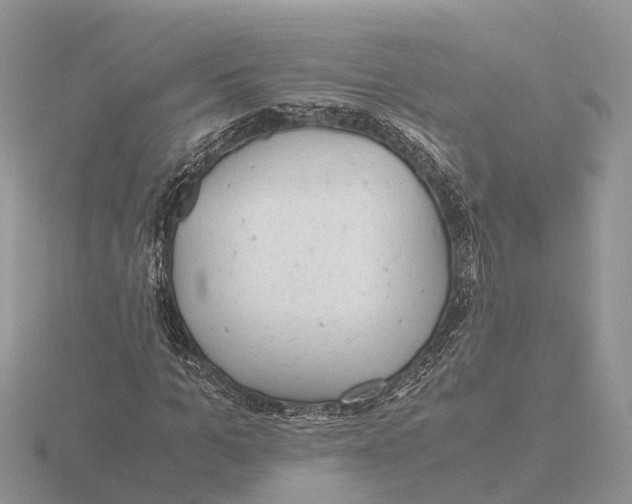 X0000115680965200912101130