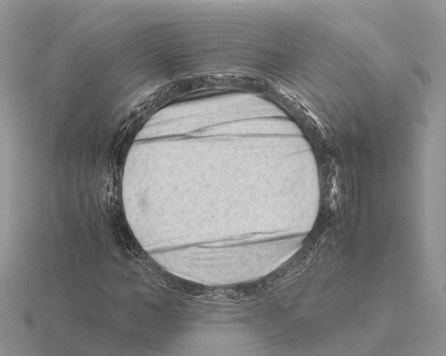 X0000115680966200912101130