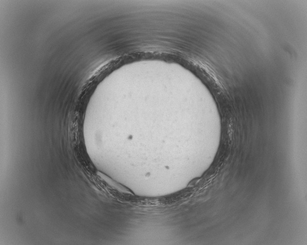 X0000115680968200912101130