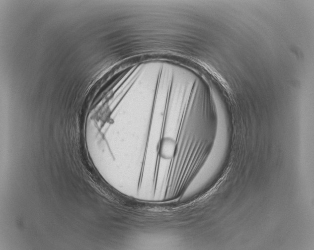 X0000115680969200912101130