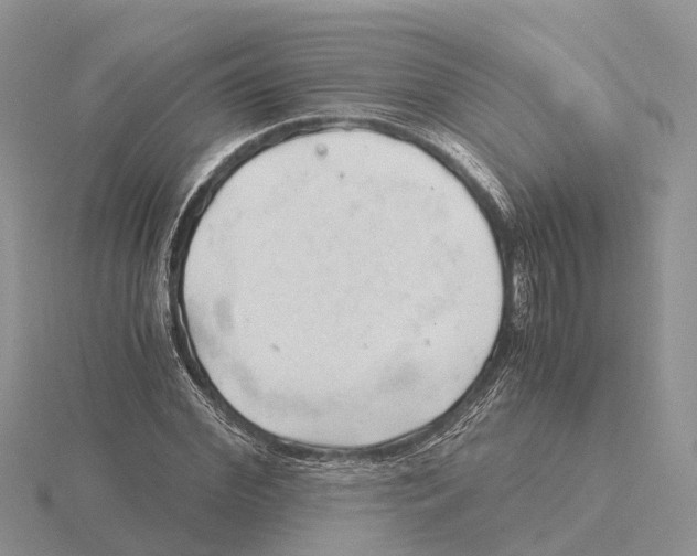 X0000115680972200912101130