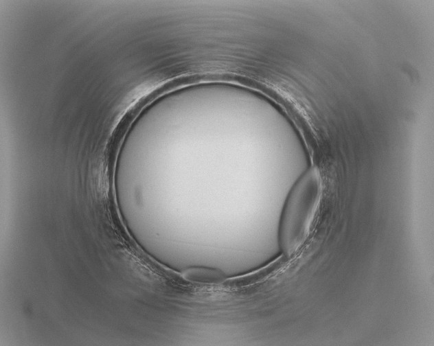 X0000115680973200912101130