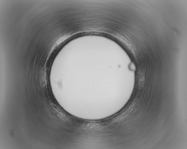 X0000115680974200912101130