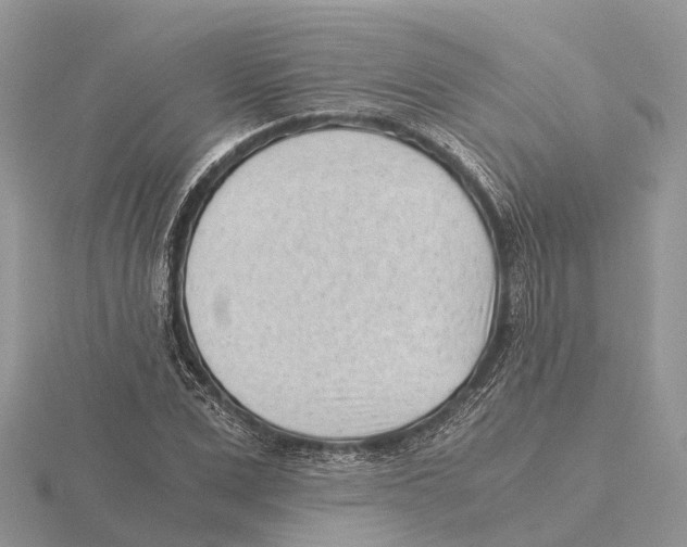 X0000115680975200912101130