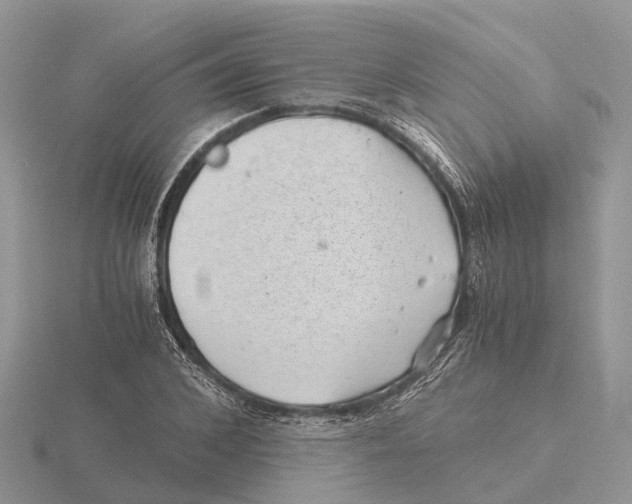 X0000115680976200912101130