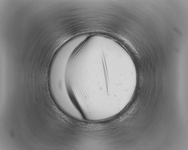 X0000115680977200912101130