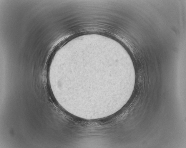 X0000115680979200912101129