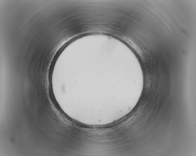 X0000115680980200912101129